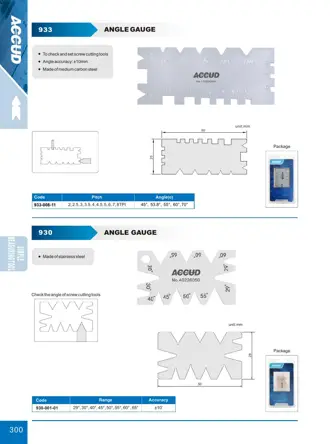 Pagina 306 din catalogul ACCUD, cu desenul de dimensiuni și datele complete